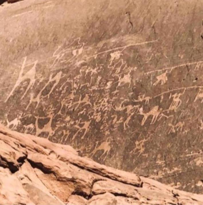 Hotel Star Magic Camp à Wadi Rum Extérieur photo