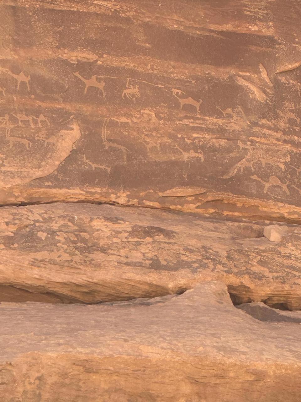 Hotel Star Magic Camp à Wadi Rum Extérieur photo
